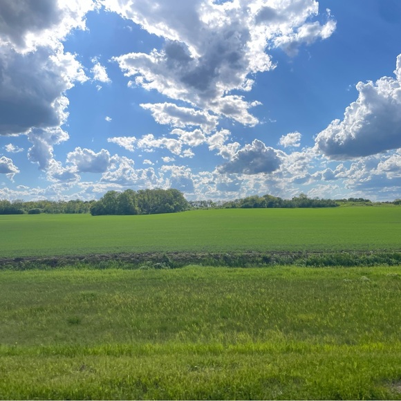 Meet your Posher, Esther - Picture 1 of 1